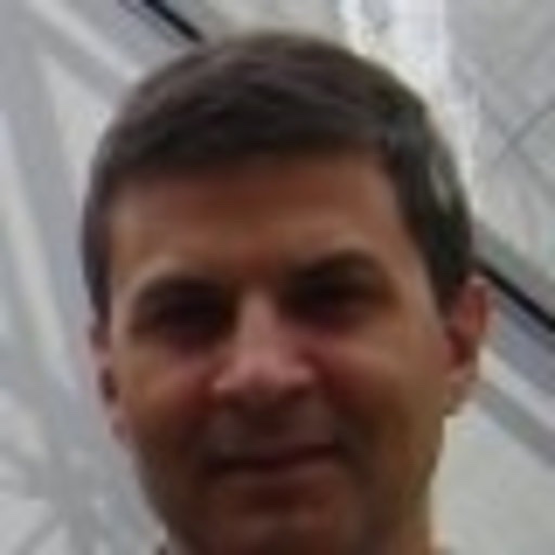 Prof. Dr. Feliz Ribeiro Gouveia